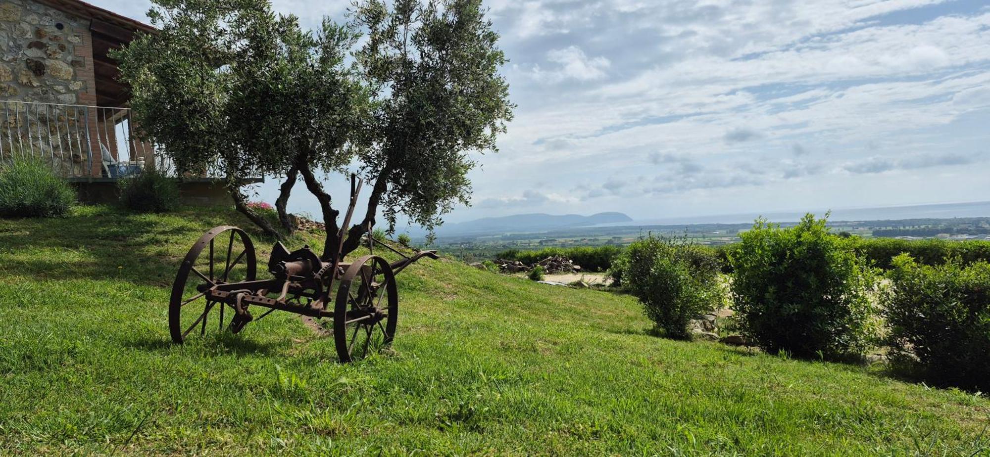 Agriturismo Suite Del Conte San Vincenzo Exterior foto